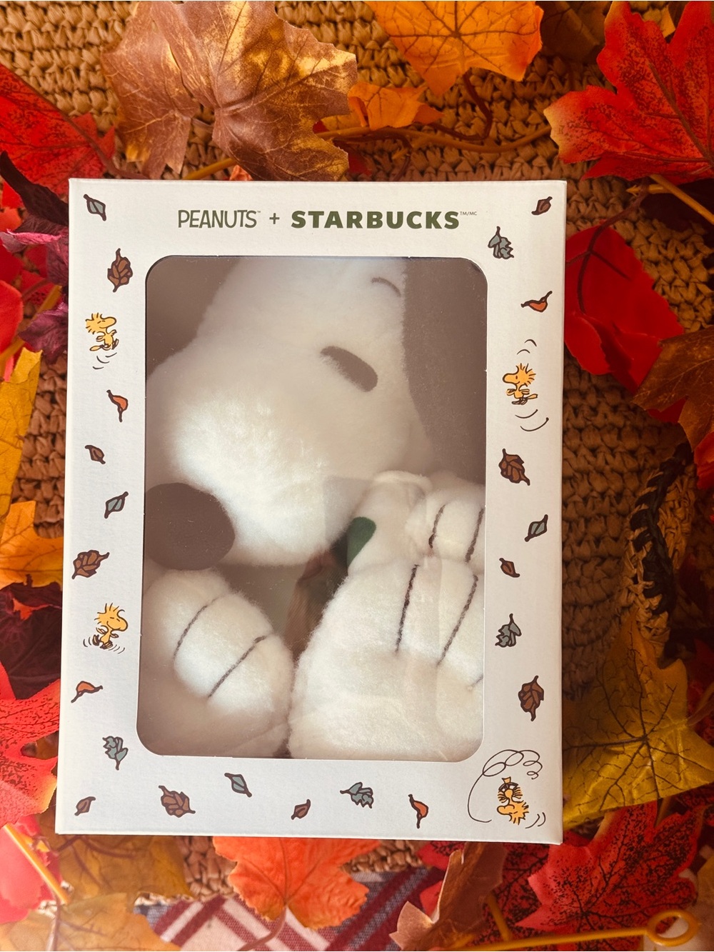 Starbucks X Peanuts Plush Snoopy in White with Black Details 🎃